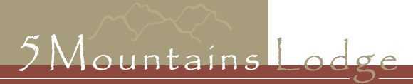 Wellington conference venues