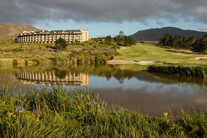 Hermanus conference venues