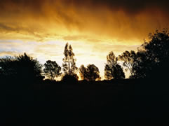 Conference Venues Free State