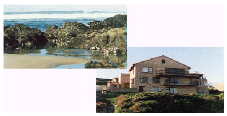 Port Elizabeth conference venues