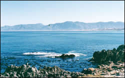 Gansbaai conference venues