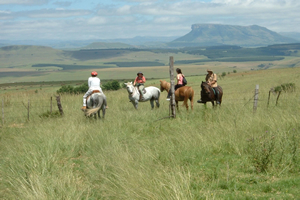 Estcourt conference venues