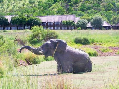 Pilansberg conference venues