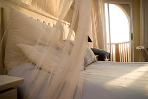 Port Elizabeth conference venues