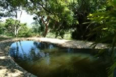 Badplaas conference venues