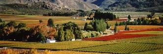 conferences western cape  south africa