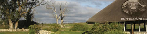 Darling conference venues