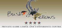 Conference venues Mpumalanga