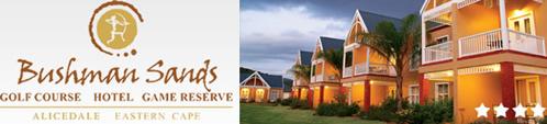 Port Elizabeth conference venues