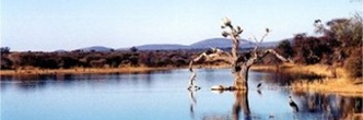conferences limpopo province