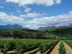Conference Venues Western Cape