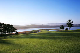 Golf in Cape Town