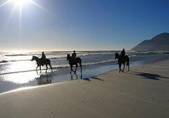 Conference Venues Noordhoek