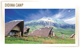 Drakensberg conference venues