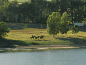 Conference Venues Western Cape
