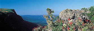 conferences mpumalanga south africa