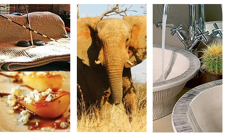 Madikwe conference venues
