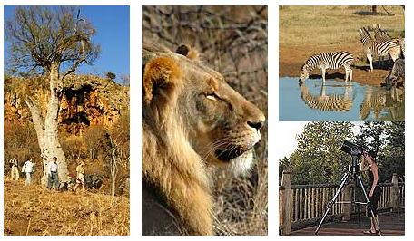 Madikwe conference venues