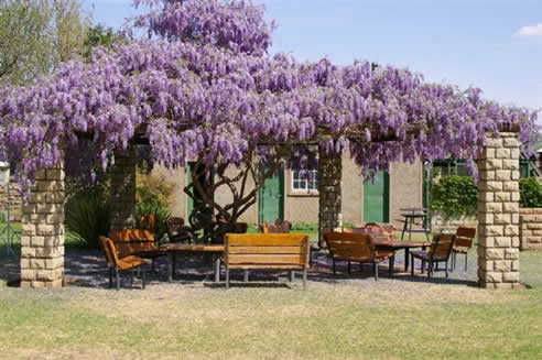 Wepener conference venues