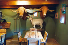 South African conference venues