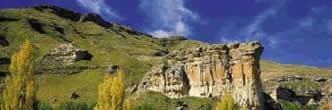 conferences free state south africa