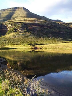 Free State