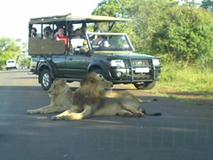 Lowveld Conference venues