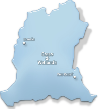 conference venues in Grass & Wetlands region of Mpumalanga, south africa