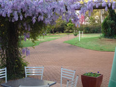 Conference venues in Randfontein