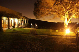 Stellenbosch conference venues