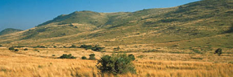 conferences mpumalanga south africa
