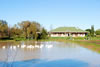 Conference Venues Stellenbosch