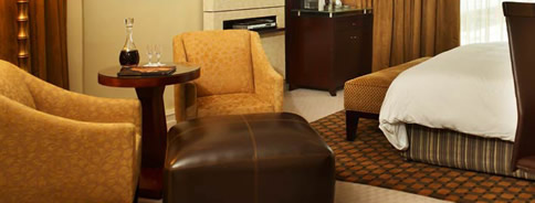 Johannesburg conference venues