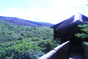 Illovo Beach conference venues