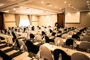Irene conference venues