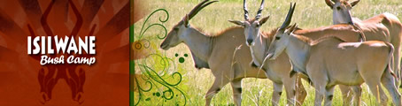 Dinokeng Conference Venues