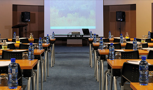 Pilanesberg conference venues