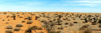 conferences northern cape south africa