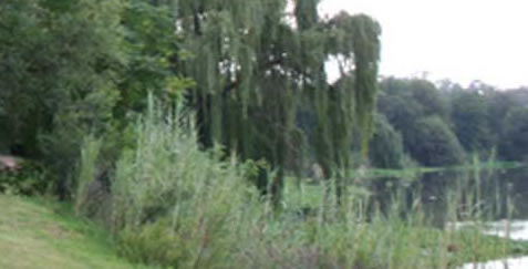 Parys conference venues
