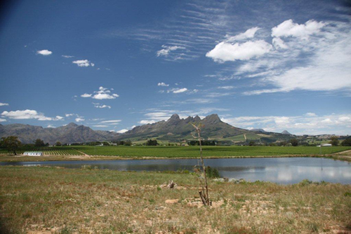 Winelands conference venues