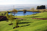 Machadodorp conference venues