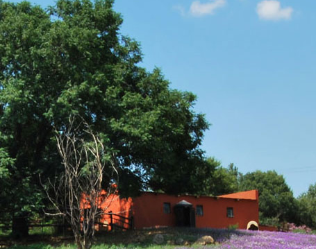 South African Conference Venues