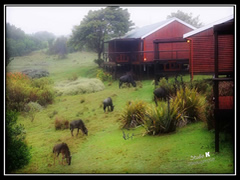Conference Venues George