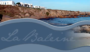 Conference Venues Paternoster