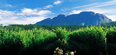 Conference Venues Stellenbosch