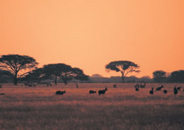 Wolmaransstad conference venues