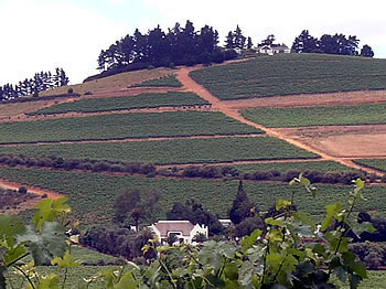 Stellenbosch conference venues