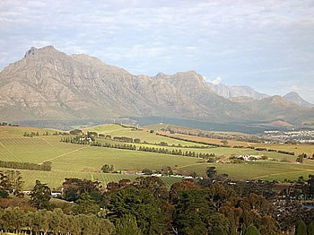 Stellenbosch conference venues