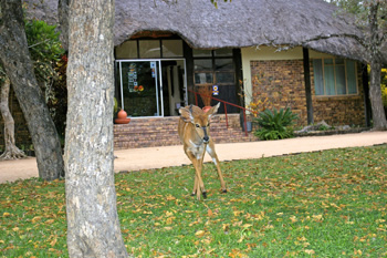 Hoedspruit conference venues