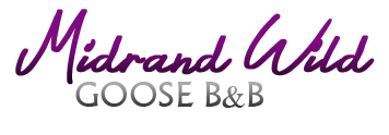 Midrand Conference venues